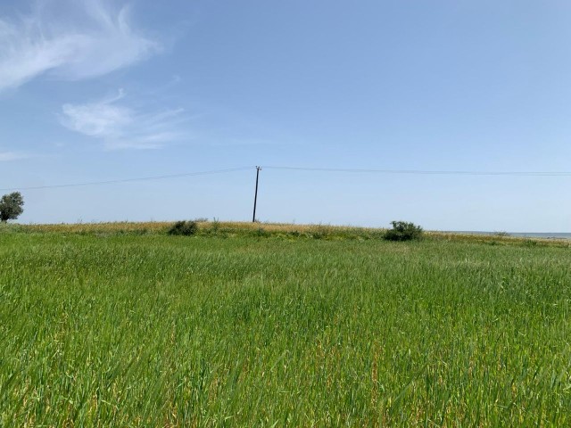 FIELD FOR SALE IN BÜYÜKKONUK SUITABLE FOR INVESTMENT