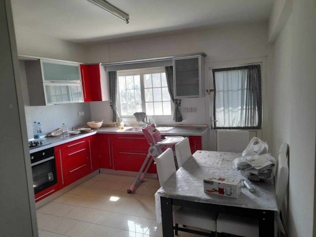 3+1 clean flat for sale in Kaliland