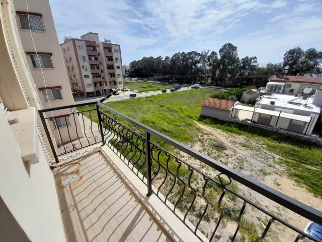 3+1 clean flat for sale in Kaliland