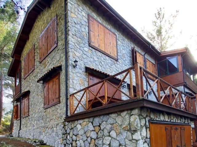 Kyrenia-ein einzigartiges Stein-Holz-Haus in einem Wald, der mit der Natur jenseits des Paradieses i