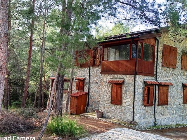 Kyrenia-ein einzigartiges Stein-Holz-Haus in einem Wald, der mit der Natur jenseits des Paradieses in der Ulme verflochten ist. ** 