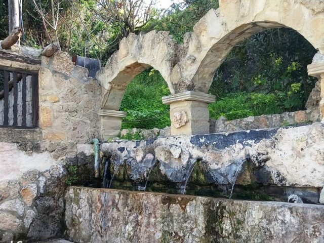 Girne- Karaağaçta  cennetin ötesi  doğala iç içe orman içinde benzersiz Taş-Tahta ev.