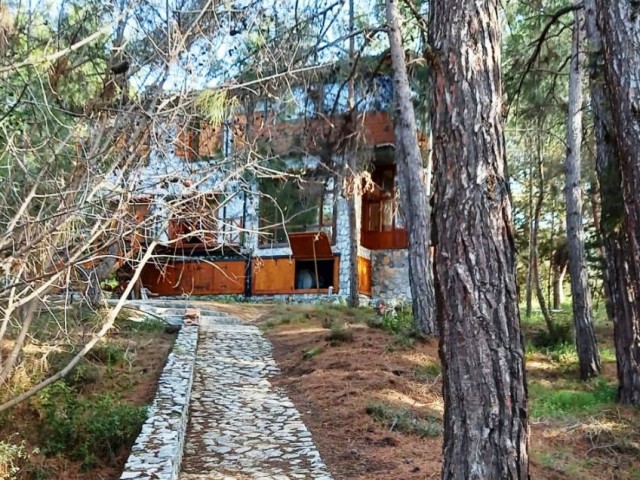 Unique   !!!! Stone -wooden house in the forest  in  Kharcha -Kyrenia.