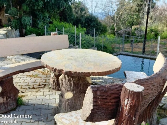 Unique   !!!! Stone -wooden house in the forest  in  Kharcha -Kyrenia.