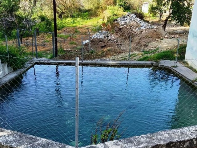 Girne- Karaağaçta  cennetin ötesi  doğala iç içe orman içinde benzersiz Taş-Tahta ev.