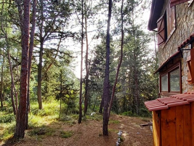 Girne- Karaağaçta  cennetin ötesi  doğala iç içe orman içinde benzersiz Taş-Tahta ev.