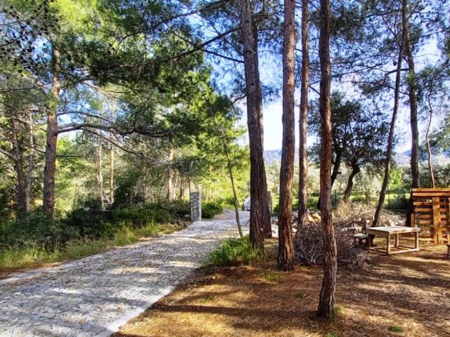 Girne- Karaağaçta  cennetin ötesi  doğala iç içe orman içinde benzersiz Taş-Tahta ev.