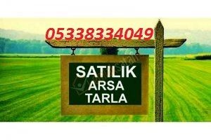 Girne- Zeytinlikte  TÜRK TAPULU  6050 mk villalık  yolu olan tarla