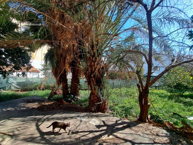 Geräumige 3+1-Gartengeschosswohnung im Nusmar-Marktgebiet im Zentrum von Kyrenia