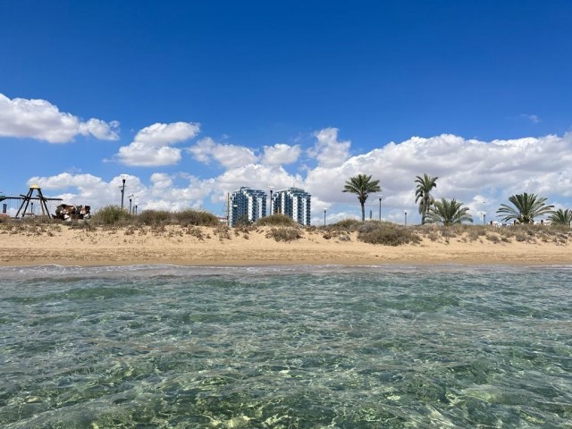 Long Beachte Deniz Mazaralı Stüdyo! 