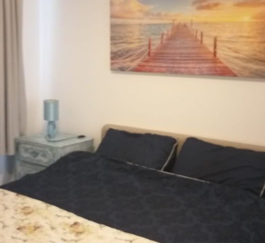 FULLY FURNISHED 1+1 FLAT FOR RENT IN ESENTEPE BAHÇELİ AREA