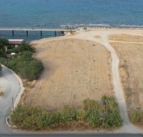 4 acres of agricultural land by the sea in Lapta