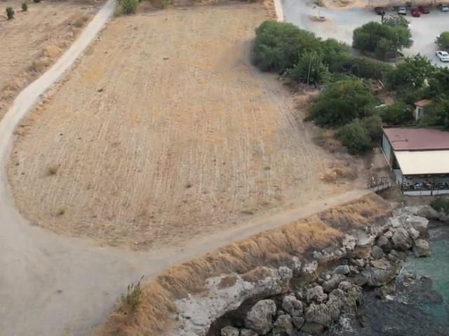 زمین توریستی برای فروش in Lapta, گیرنه