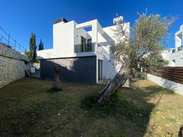 3+1 250m2 modern villa with pool with Turkish title for sale in Ozanköy