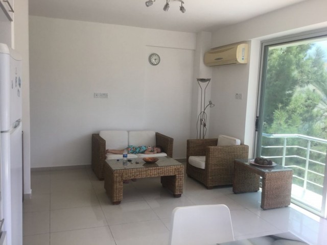 2+1 penthouse no commission nusmar area