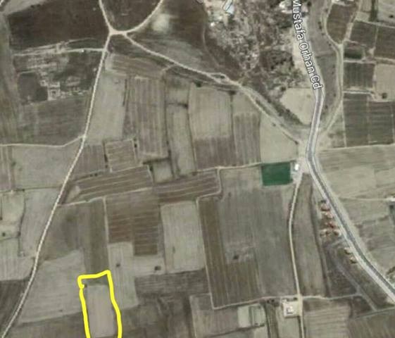 Field For Sale in İskele Merkez, Iskele