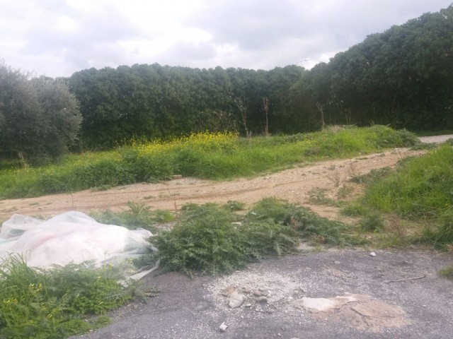 منطقه مسکونی برای فروش in Çatalköy, گیرنه