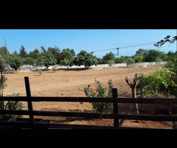 Einfamilienhaus Kaufen in Boltaşlı, Iskele