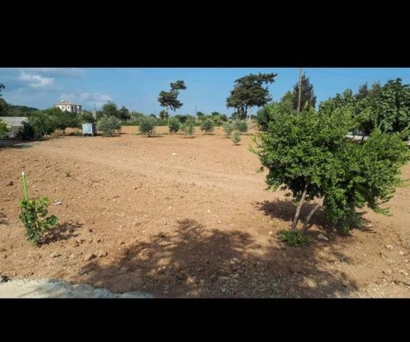 Einfamilienhaus Kaufen in Boltaşlı, Iskele