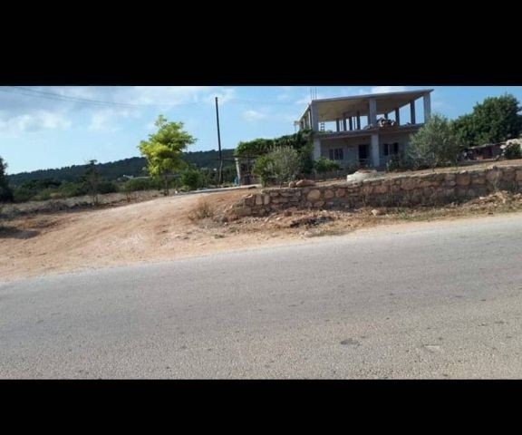 Einfamilienhaus Kaufen in Boltaşlı, Iskele