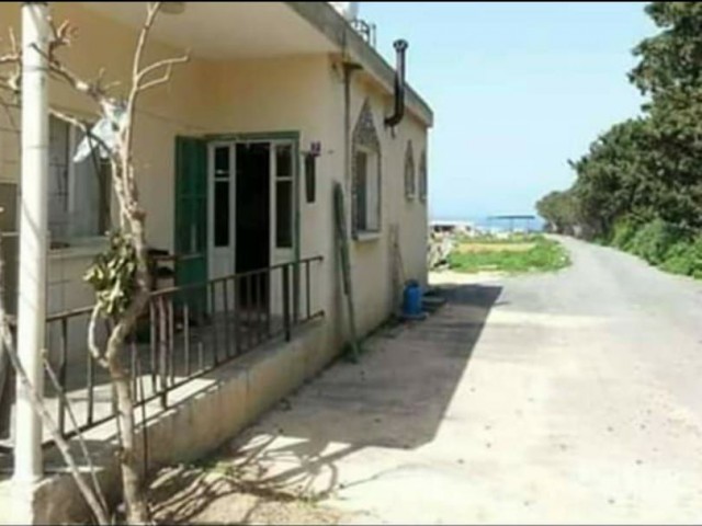 Einfamilienhaus Kaufen in Dipkarpaz, Iskele