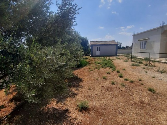 Decoupled house on a plot of 6 pieces in the center of the pier ** 