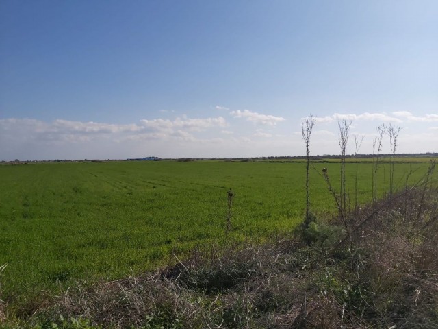 LAND FOR SALE THAT CAN BE INVESTED IN KUZUCUK VILLAGE ** 