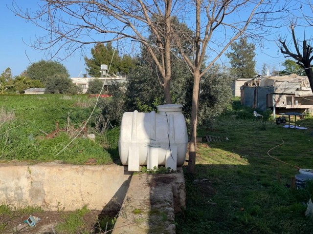 Einfamilienhaus Kaufen in Maraş, Famagusta