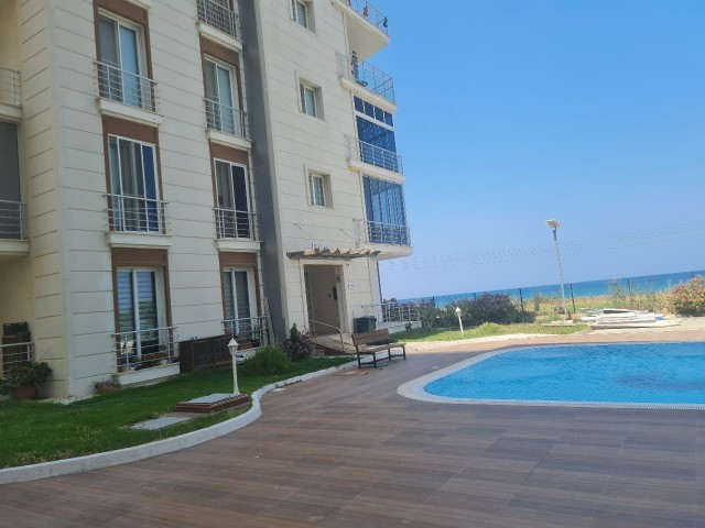 Luxury apartment for rent in Magusa gulseren sea hause ** 