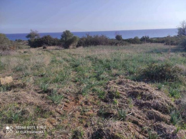 Feld Kaufen in Derince, Iskele