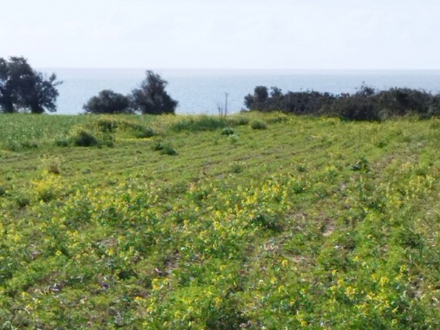 Land in Iskele Derince, 200 m away from the sea at an affordable price