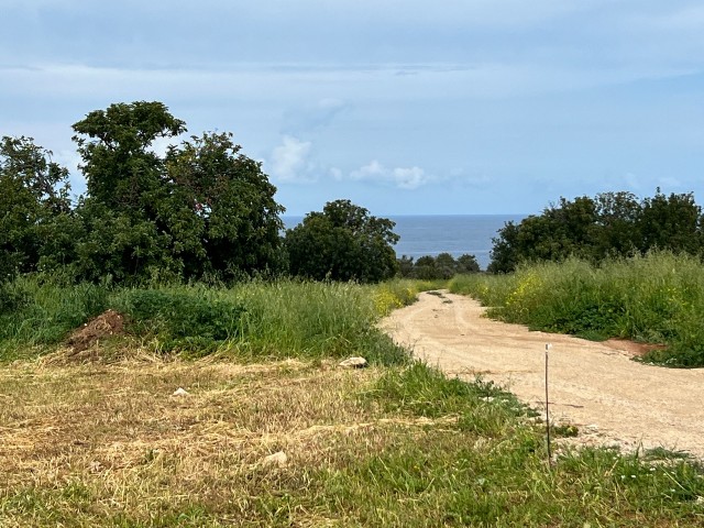 Grundstück mit offizieller Straße in Mersinlik, 600 Meter vom Meer entfernt