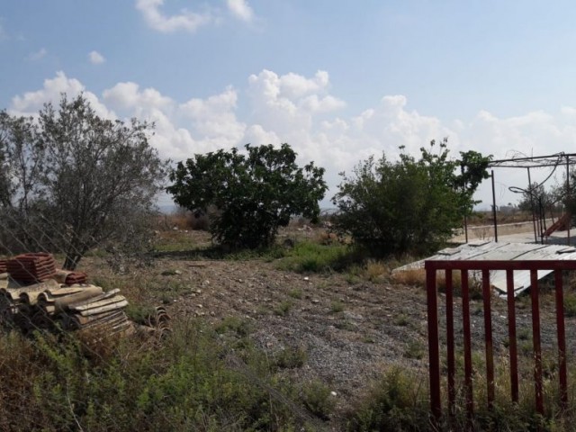 Einfamilienhaus Kaufen in İnönü, Famagusta