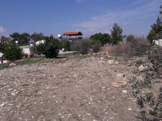 Detached House For Sale in İnönü, Famagusta