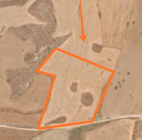 Field For Sale in Haspolat, Nicosia