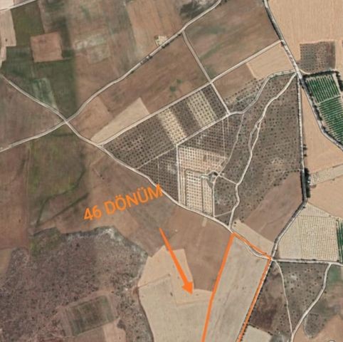 Field For Sale in Dörtyol, Famagusta