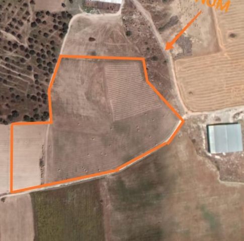 20 DECEMBER OF LAND FOR SALE IN KÖPRÜLÜ-KUKLA VILLAGE