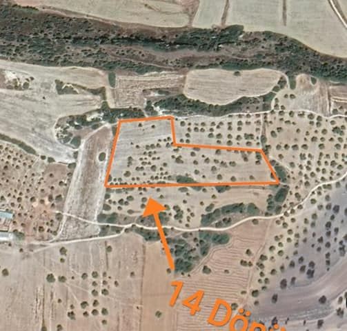 For sale in the village of Kaleburnu, 14 acres of Turkish cob land with sea and mountain views... ** 