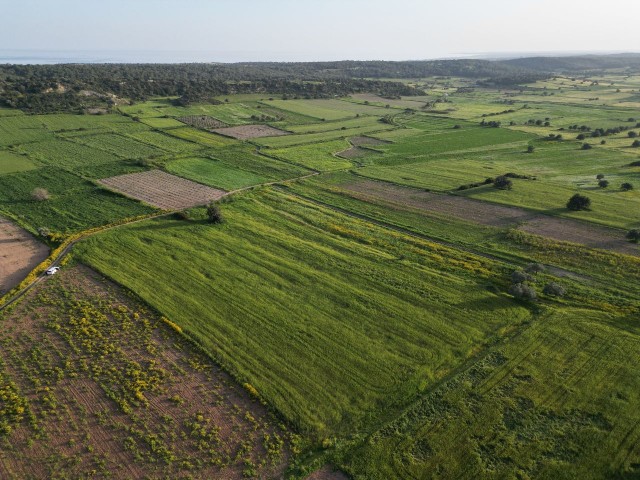 Boltasli Meerseite, insgesamt 10 Hektar Land zu verkaufen 6. 000 Stg (pro Hektar)