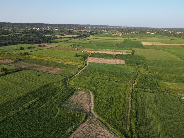 Boltaşlı deniz tarafında, toplam 10 Dönüm satılık arazi 7.000 Stg ( Dönümü )