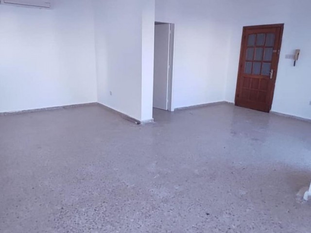 Apartment for Rent for Business in Terminal Area 