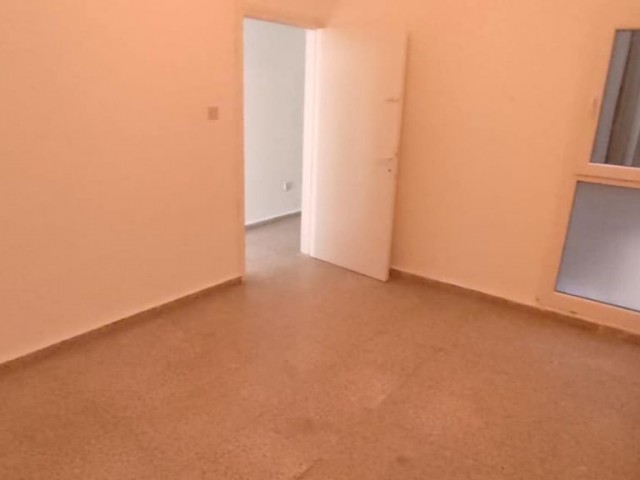 Apartment for Rent for Business in Terminal Area 