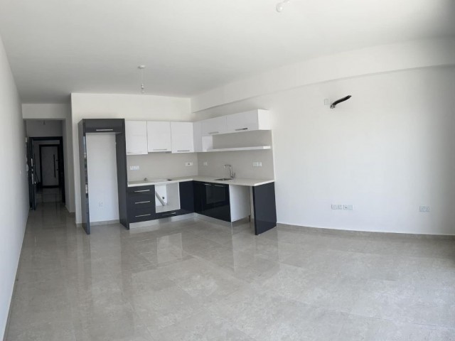 Ground Floor Zero 2+1 Flat for Rent in Kermia Region