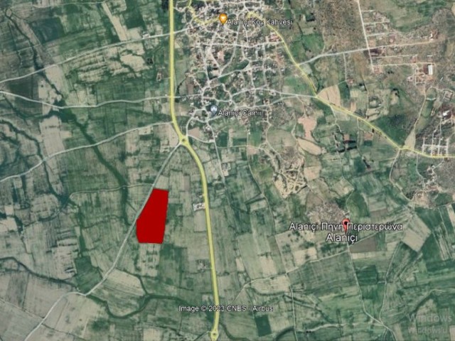 31 Acres and 13 Acres of Fields for Sale in Alaniçi Village of Famagusta