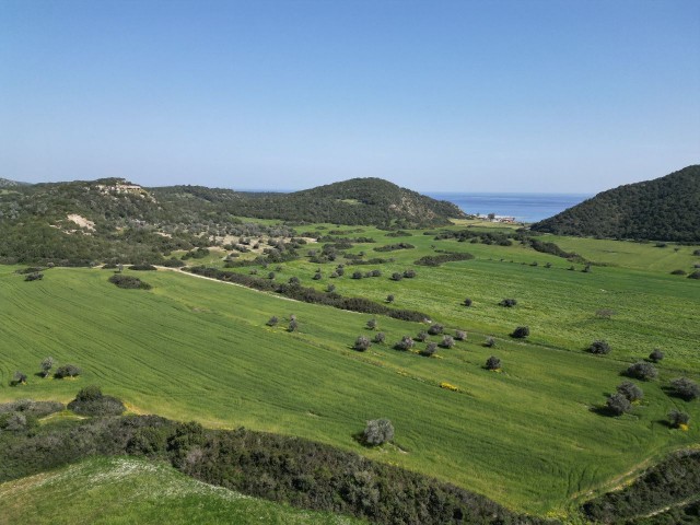 24 Dekaden Land zur Investition im südlichen Teil von Dipkarpaz, in der Nähe der Straße zum Kloster Apostolos Andreas. Eine tolle Chance für die Zukunft...