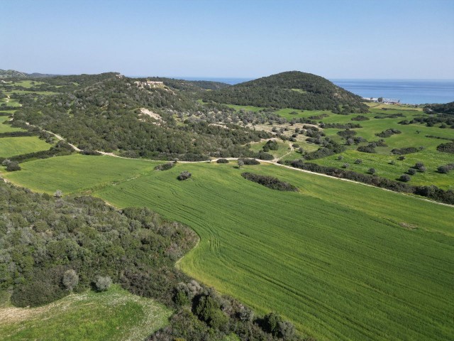 24 decares of land for investment in the southern part of Dipkarpaz, close to the Apostolos Andreas Monastery road. A great opportunity for the future...