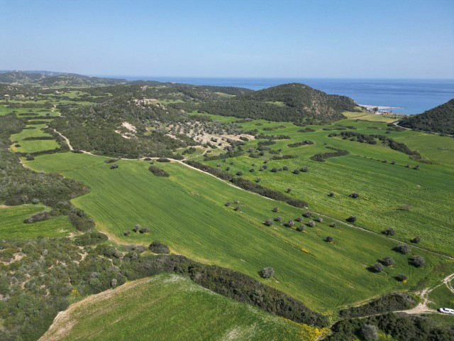 24 Dekaden Land zur Investition im südlichen Teil von Dipkarpaz, in der Nähe der Straße zum Kloster Apostolos Andreas. Eine tolle Chance für die Zukunft...