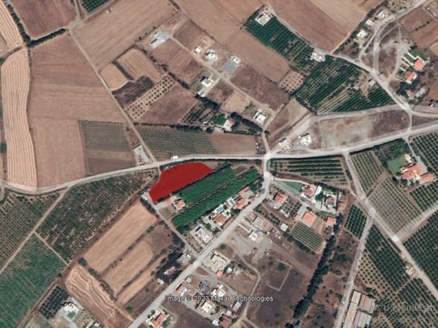 3 acres of opportunity land is for sale in Gaziveren, 800 m from the sea.