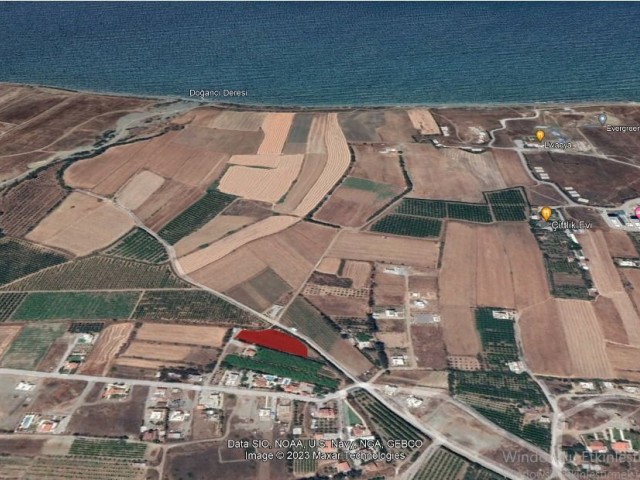 In Gaziveren, 800 m vom Meer entfernt, stehen 3 Hektar großes Grundstück zum Verkauf.