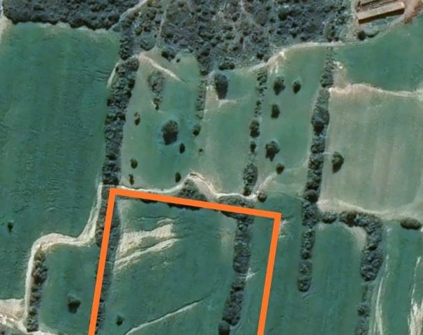 12 acres of investment land for sale in Dipkarpaz.